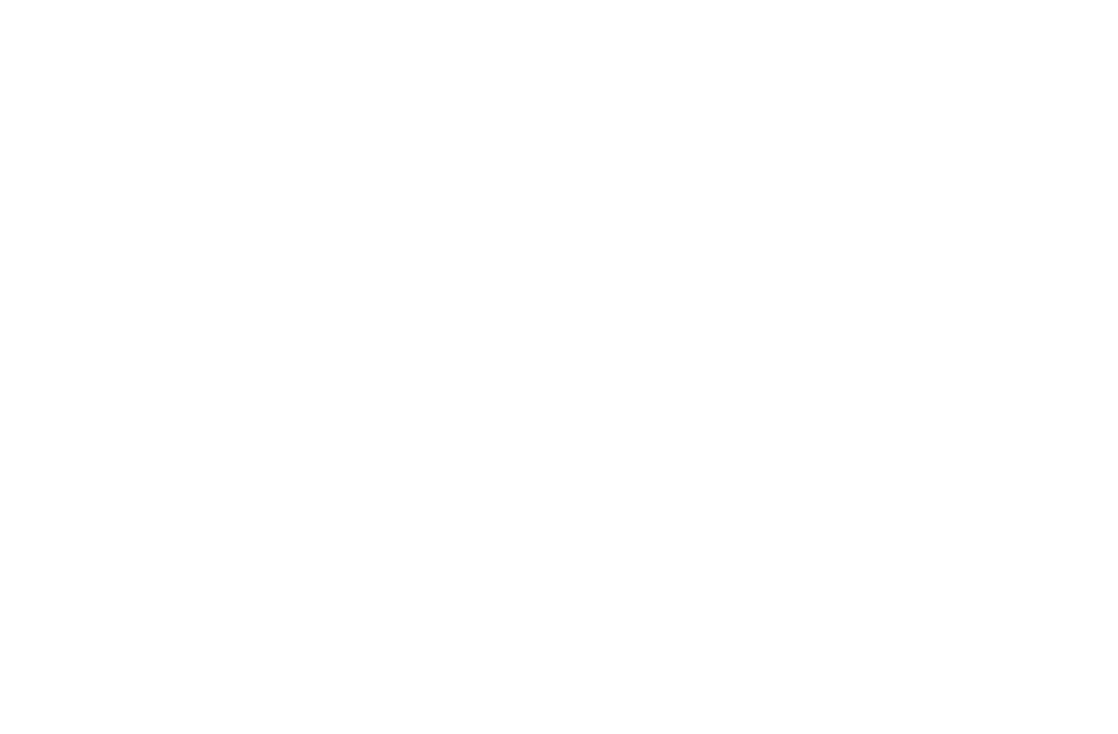 Cannon Advisors
